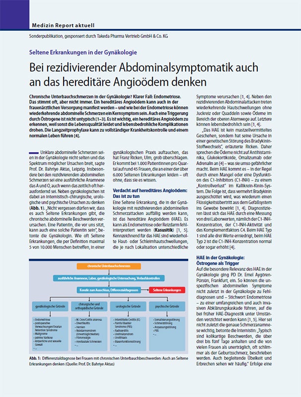 Sonderpublikation Springer Fall Aktas
